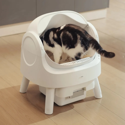 Kittyy Cleaner: The Self-Cleaning Litter Box