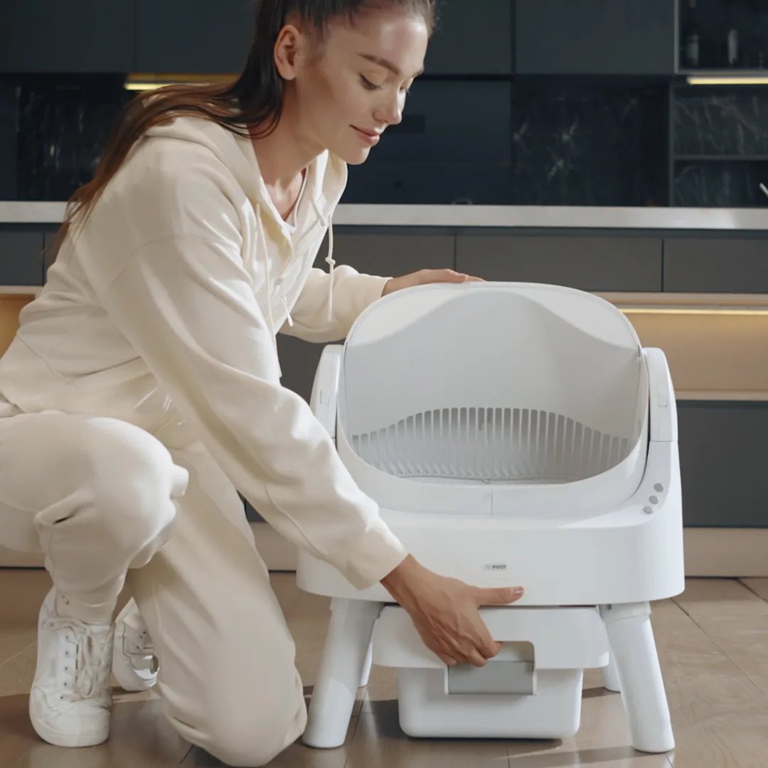 Kittyy Cleaner: The Self-Cleaning Litter Box